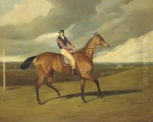 Matilda With Jockey Up by David of York Dalby
