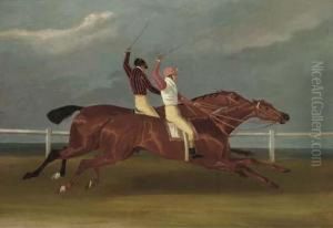 Acteon Beating Memnon Acteon Beating Memnon