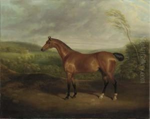 Cock Robin, A Chestnut Hunter In A Wooded Landscape With A Mansionbeyond