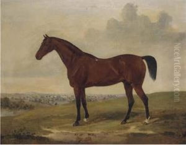 Bloomsbury, A Bay Racehorse - view 1