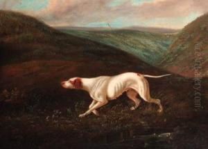 A Pointer On The Scent by David of York Dalby