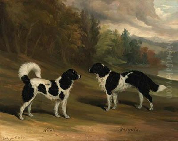 Nero And Marquis, Two Landseer Newfoundlands, In A Wooded Lakelandscape - view 1