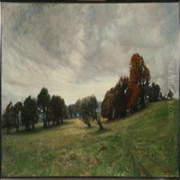 Wind Blown Trees - view 1