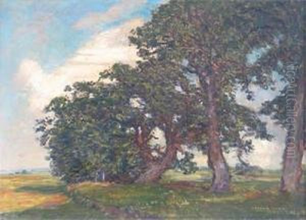 Woodland View - view 1