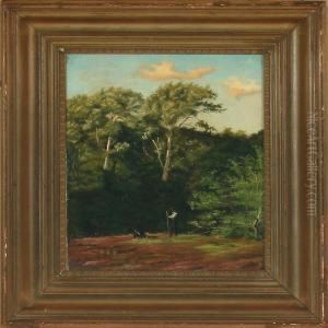 Woodland Scenery