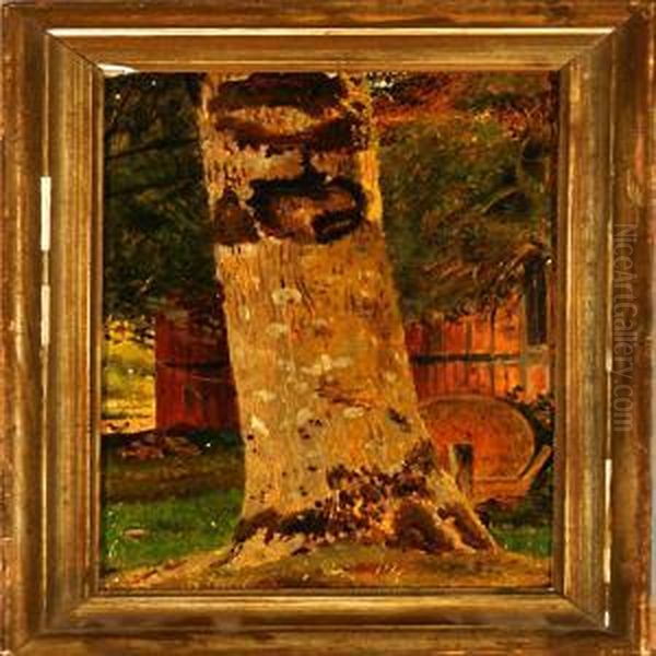 A Study Of A Tree - view 1