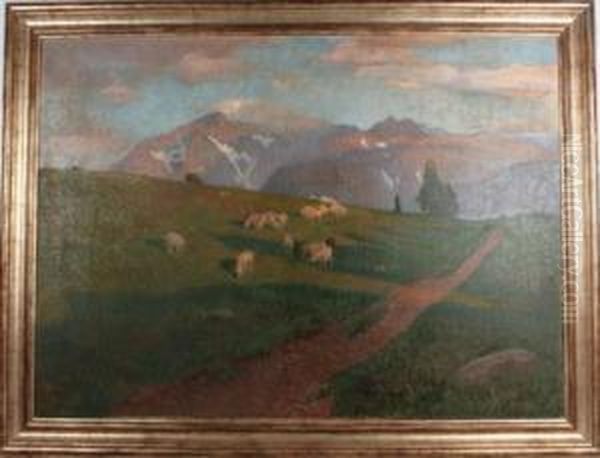 Weidende Schafe Auf Deralm - view 1