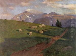 Weidende Schafe Auf Der Hochalm