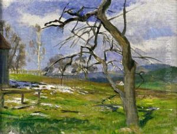 Vorfruhling - view 1