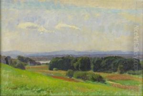 Morgen An Der Drau - view 1