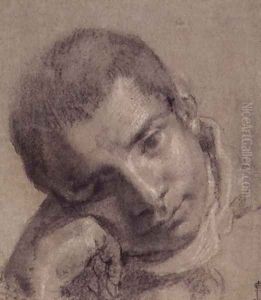 Head of a Youth