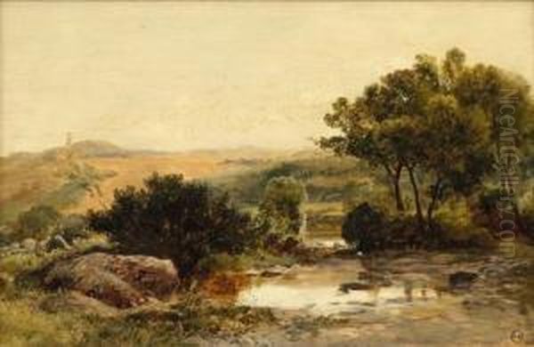 Near Dolgelley - view 1
