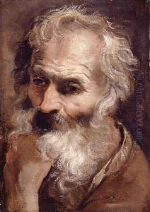 Head of an Old Man by Annibale Carracci