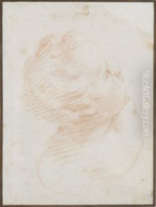 Study Of A Child's Head