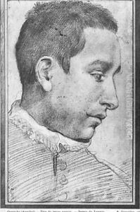 Portrait of a Young Man (detail) 1495 by Annibale Carracci