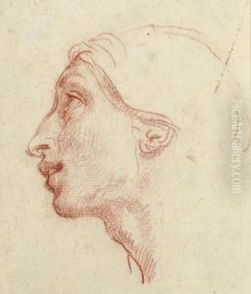 Head Of A Man In Profile To The Left - view 1