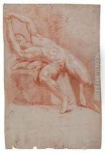 A Male Academy Nude by Pietro Dandini