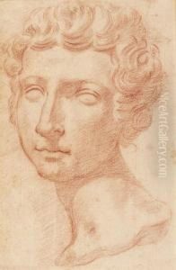 Head Of A Young Man, After The Antique by Pietro Dandini