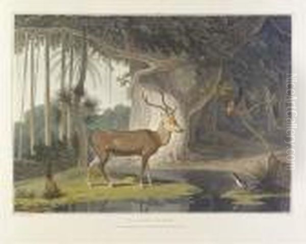 A Picturesque Illustration Of 
The Scenery, Animals, And Nativeinhabitants, Of The Island Of Ceylon. 
London: By T. Bensley,[1807]-1808 [watermarks: 'j, Whatman 1801']. - view 1