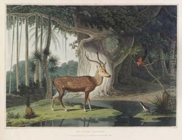 A Picturesque Illustration Of 
The Scenery, Animals, And Nativeinhabitants, Of The Island Of Ceylon. 
London: By T. Bensley,[1807]-1808 [watermarks: 'j, Whatman 1801']. - view 1