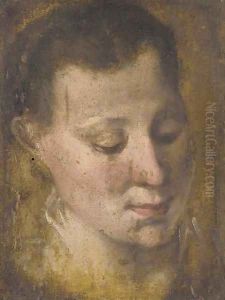 Head of a girl looking down to the right, her hair held in a plait by Annibale Carracci