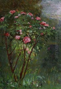 Rose Bush In Flower