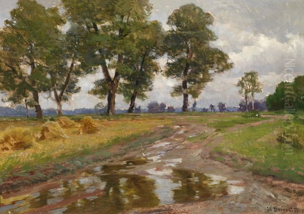 Afterthe Rain - view 1