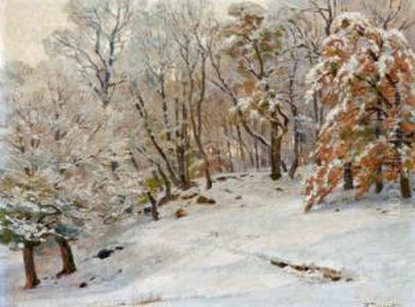 Winterlandschaft - view 1