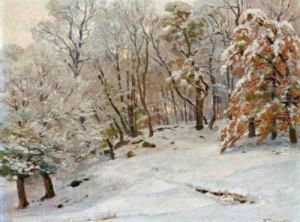 Winterlandschaft
