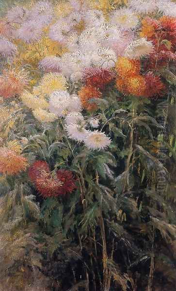 Chrysanthemums Garden At Petit Gennevilliers - view 1