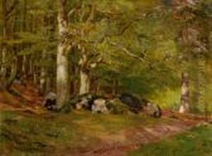 Waldweg Mit Reh
