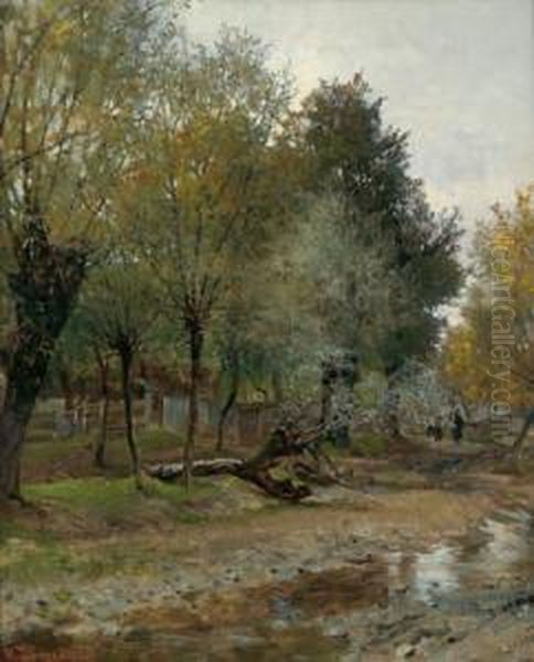 Nel Bosco Viennese - view 1