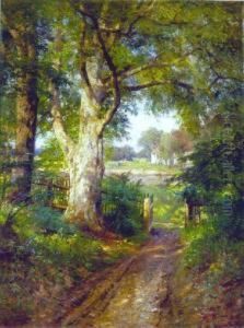 A View Through The Trees