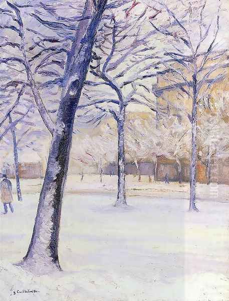 Park In The Snow Pari - view 1
