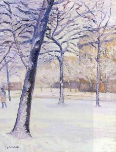 Park In The Snow Pari