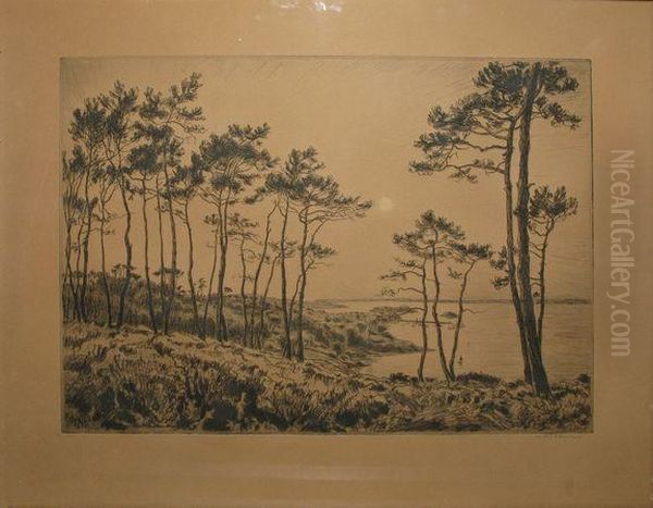 Pins Maritimes - view 1