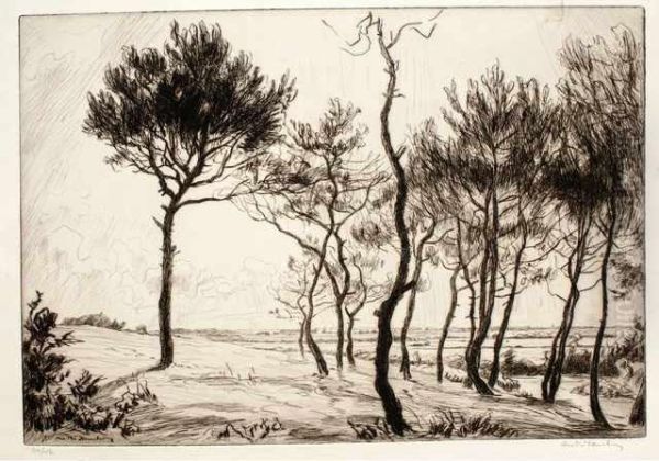 Pins Sur La Dune - view 1
