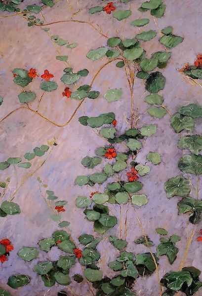 Nasturtiums - view 1
