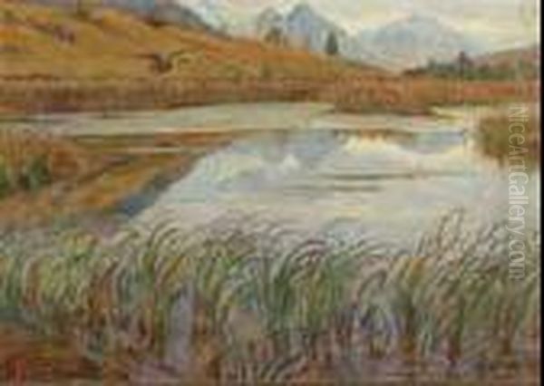 Palude - view 1