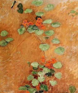 Nasturtiums2