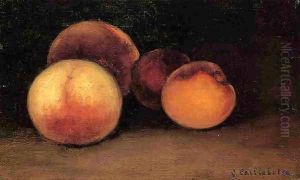 Peaches Nectarines And Apricots by Gustave Caillebotte