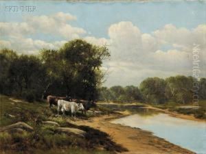 Cows On A River Bank
