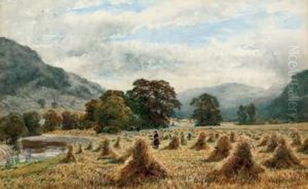 The Cornfield - view 1