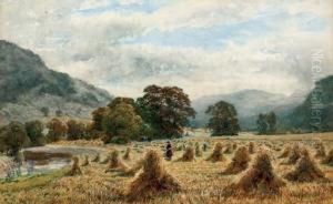 The Cornfield