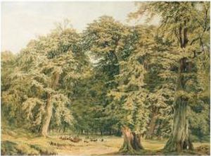 Deer In Knole Park by Charles Grant Davidson