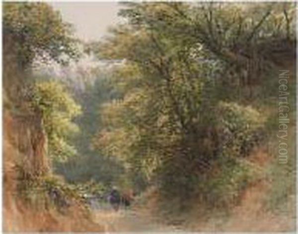 A Walk In The Woods - view 1