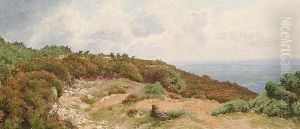 Leith Hill, Surrey by Charles Topham Davidson