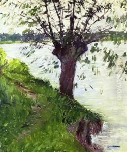 Willow On The Banks Of The Seine by Gustave Caillebotte