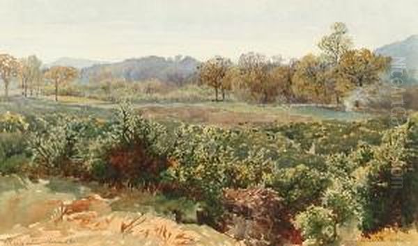 Reigate Heath - view 1