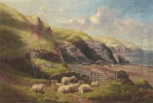 Penllach Bay, Carnarvonshire